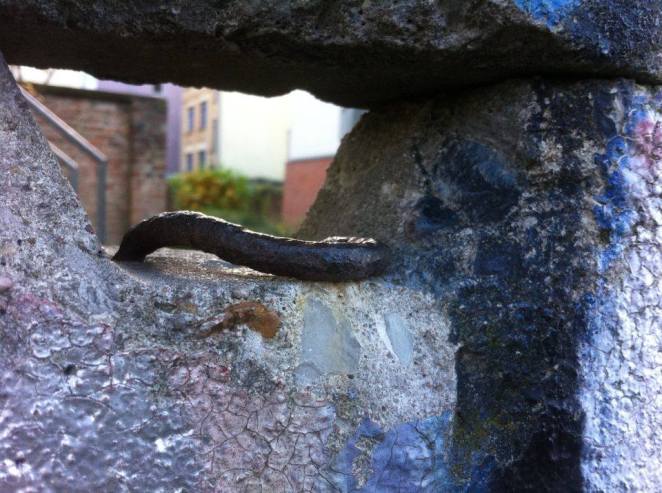 23718087_1493511667406263_1108423062_n